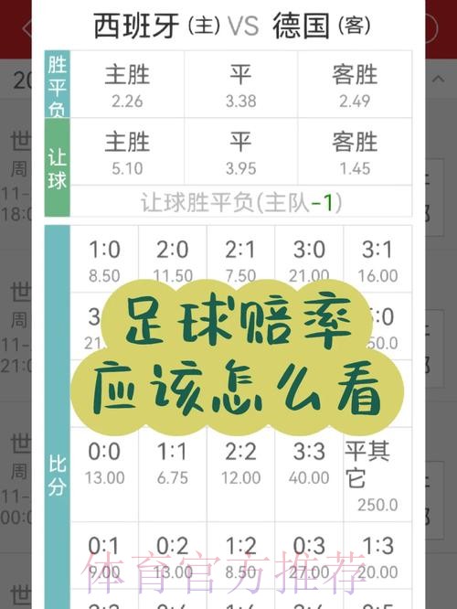 世界杯投注赔率与收益分析指南